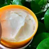 Brasilianische Po-Creme-Körperlotion, 240 ml, schnell einziehende Körpercremes, glättet sichtbar die Haut und strafft die Haut. Nährende Feuchtigkeitscreme