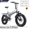 electric bike 500w.