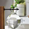 Table Desk Bulb Glass Hydroponic Vase Flower Plant Pot With Wooden Tray Office Decor YU-Home Other Home