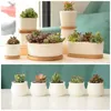 White Porcelain Succulents Pot Green Plants Flower Pot With Bamboo Tray Creative Office Tabletop Planter Concise Vase Home Decor 210712