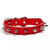 Fashion Punk Metal Rivet Dog Collar Candy Colors Pu Leather Leash Collars Pet Puppy Supplies T2I53370