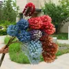Ghirlande di fiori decorativi 10 pezzi falso fiore principessa a gambo lungo (3 teste/pezzo) 33,86 "simulazione di peonia selvatica in plastica per la casa di nozze Arti