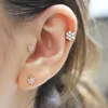 Stud 1pc tiatanium bar platt bas örhänge labret tragus brosk hjärta krona blomma måne zircon öron studs kropp piercing smycken