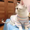 Весенняя хлопковая одежда для кошек для кошек для кошек Готас Теста