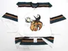 Maillot de Hockey de l'équipe noire MANITOBA MOOSE AHL 24S 2020, avec broderie cousue, personnalisable avec n'importe quel numéro et nom