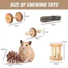 Suministro de animales pequeños juguetes de masticación de hámster, cuidados de cuidado de dientes de madera natural establecido para conejillo de indias, accesorios de ejercicio de rata-ABUX