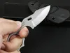 Small Straight Knife 5Cr13Mov Wire Drawing Drop Point Blade Full Tang Stainless Steel Handle Fixed Blades Knives With Kydex