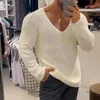 Erkek Sweaters 2021 Sıradan Örme Saklama Tezisi Erkekler Bahar İnce V-Neck Sokak Giyim Sonbahar Moda Katı Uzun Kollu Üstler