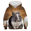 Fall / Winter 2021 Nieuwe Harajuku Rabbit Hoodie Casual Lange Pullover Trend Printing 3D Trui Sweatshirt Losse Kinderen 4-14T G1028