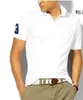 Marka Męskie Solid Polo Koszula Top Big Małe Końskie Krokodyl Haft Polos Koszulki Koszulki Męskie Homme Slim Odzież Camisas Leisure Business T-shirt W5