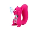 Neue Nette Eichhörnchen Vibrator Sex Spielzeug für Frauen Klitoris Stimulator Nippel Saugen Vibration Vagina Massage Dildo Erotische