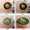 Mini pot en terre cuite argile céramique poterie planteur Cactus fleur succulentes pots de pépinière grand jardin