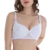 taille 36d