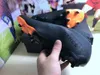 대기 팩 흰색 충격 핑크 남성 축구 신발 Nemeziz 19+ FG 최상 Royal Blue Cleats SuperSpectral Screaming Orange Precision for Football Boots