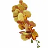 4p Latex Papillon Orchidée Fleurs 9 Têtes Real Touch Bonne Qualité Artificielle Phalaenopsis Orchidée 40 "pour La Maison Décoration Florale 210317