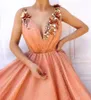 2021 Peach Sexy Evening Dresses Wear V Neck Sleeveless Lace Crystal Beaded 3D Floral Flowers Open Back Plus Size Formal Party Dress Prom Gowns Quinceanera Dress