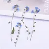 100pcs, fleurs naturelles pressées de myosotis avec tige, véritable fleur séchée pour faire-part de mariage bricolage artisanat marque-page cartes-cadeaux 210317