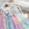 Kinder-Sommerkleider im Großhandel, bunte Applikationen, A-Linien-Rock, Schleife mit Rundhalsausschnitt, Baby-koreanische Mode, dreidimensionales Blumenkleid, Regenbogen-Kleidung
