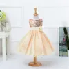 Mermaid Sequin Girl Dress Multi Solid Color Flower Sash Gauze Floor Length Skirt Summer Kids Dresses Girls Ball Gown 35ty L2