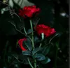 Multicolor Rose Solar LED Dekoration Utomhus Lawn Light Family Garden Fake Flower Night Vattentäta lampor
