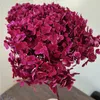 1BUNCH40x20CM30Colors Anna Hydrangea hela grenen bevarad torkad blommor Bukett Pograf Ny Hem Hem Desktop Garden Decoration 22136528