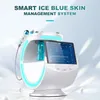 Hydra dermabrasion Skin Analysis Care Care酸素機械高圧療法ビューティー超音波RFアンチエイジングデバイス