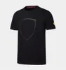 2021F1 Bluza wyścigowa z krótkim rękawem męska koszulka T-shirt Flota Lapel Polo Workear Duża rozmiar można dostosować 275e