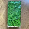 Updated Standard Preserved Reindeer Moss for DIY Floral Arrangements in Green Color Foamy Type Textured LICHEN - 500 Gram 210624