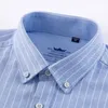 5xl Högkvalitativ 100% bomull Oxford Mens Plaid Shirts Man Broderi Casual Långärmad tröja för män Vit Blå Klänningskjorta P0812