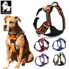 Truelove Front Range Reflective Large Pet Hond Vest Harnas All Weer Gewatteerde Verstelbare Veiligheidsvoertuig Leads voor Honden PET 210712