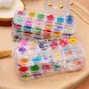 1Box Dried Flowers Dry Plants For Resin Molds Fillings Epoxy Pendant Necklace Jewelry Making Craft DIY Nail Art Decoration Decorative & Wrea