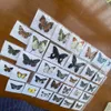 20Pcs Natural Unmounted Rhopalocera / Le Papillon / Butterfly Specimen Artwork Material Decor 210727