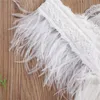 Księżniczka Niemowlę Baby Girls Lace Romper 0-24m Biały Backless Kombinezon Moda Letnia Bez Rękawów Tassel Feather Pacy 210816