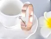 AENINE Oryginalny Design CZ Crystal Ze Stali Nierdzewnej Mankiet Bransoletka Biżuteria Dla Kobiet Dziewczyny Klasyczna Róża Złota Ślub Bangle AB19008 Q0717