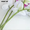 Dekoracyjne kwiaty wieńce Hi-Q Real Touch 9 Heads Sztuczne motyl Orchidee Hurtownie Duży Felk Latex Wedding Phalaenopsis 6 sztuk / partia