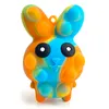 Fidget Toys Rabbit Push Bubble Relieve Stress Squeeze Antistress Easter Bunny Gift for Boy Girl Kids & Adults Decompression Vent Silicone