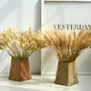 vase with pampas grass