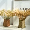 pampas grass in vase