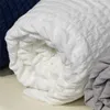 Set copripiumino copripiumino bianco grigio solido Set biancheria da letto matrimoniale singolo di lusso Twin Full Queen King Size Biancheria da letto per bambini Adulti 210319