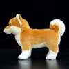 Lifelike Japanese Shiba Inu Stuffed Plush Toy Cute Real Life Stand Yellow Soft Dog Animals Puppy Model Simulation Kids Gift Doll 220217