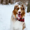 Köpek Bandana Noel Ekose Pet Eşarp Üçgen Önlük Kıdaşı Küçük Orta Büyük Köpekler için Xmas Doğum Günü Hediyesi Yıkanabilir Kare Baskı Yavru Kedisi Için Çift Ayarlanabilir