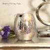 Vase Light Luxury Plating Silver Glass Vase Vase Flower Ball House Dry Storage Decoration Gift
