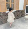 Girl's Dresses 2022 Flower Lace One-Year-Old Baby Girl Dress Cute Models With Long Sleeves Catwalk Princess Autumn