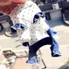 Pet Dog Plestuits Salms Puppy Dress Style 100 ٪ Cotton Collection for Small Dogs Lace Bow Hoodies Spring Autumn Chihuahua Poodle 2103032