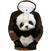 Creativo cinese panda uomo donna felpe con cappuccio felpa harajuku 3d stampato pattert carino pullover moda autunno vestiti 210813
