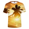 Męskie koszulki plaża kokosowy drzewo t shirt mężczyźni kobiety koszulka koszulki koszulki oceanu niebo piękne nadmorskie widoku słodkie tshirts 3D oddychające topy