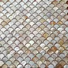 Carreaux de mosaïque en coquillage, brique de couleur blanche, fond net coloré naturel, coquilles rapprochées, décoration de la maison sur mesure