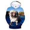 Мода 3d pug hoodies Мужчины Женщины Толстовки Harajuku Hoodie Pullover Осень С капюшоном Случайные мальчики Девочки Streetwear 210813