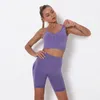 Yoga-Outfit, 2-teiliges Damen-Sportanzug-Set, sexy BH, nahtlos, hohe Taille, Shorts, Workout, Laufbekleidung, Fitnessstudio, Sportbekleidung