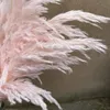 20 Stiele Rosa Farbe Große Größe Blume Real Getrocknete Pampas Gras Hochzeit Blume Bündel Naturpflanzen Home Fall Decor